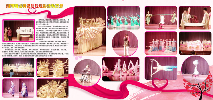 湖南j9国际集团赞助燕赵·恒爱残疾人艺术团圆满演出